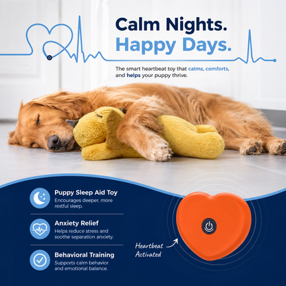 PAWZLY HEARTBEAT TOY™